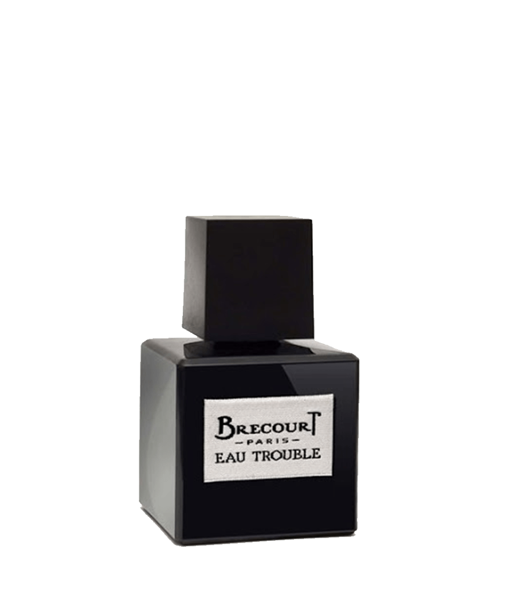 PROFUMO BRECOURT PARIS EAU TROUBLE 100ML