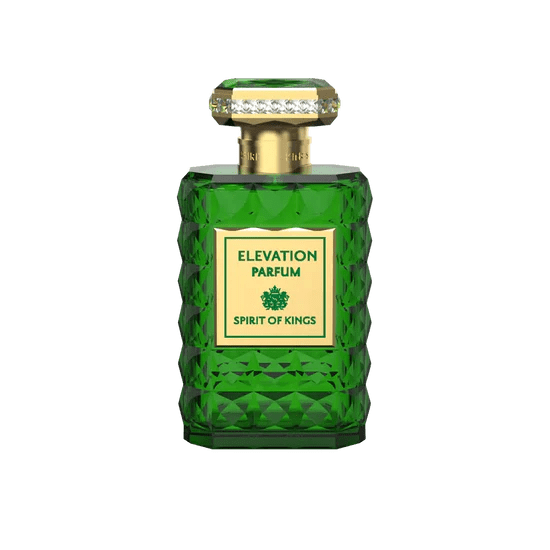 THE SPIRIT OF KINGS - ELEVATION