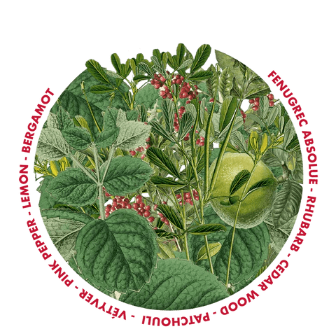 Tonstrina 55 - Pisterzi - 100 ml