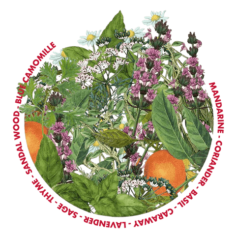 Tonstrina 17 - Pisterzi - 100 ml