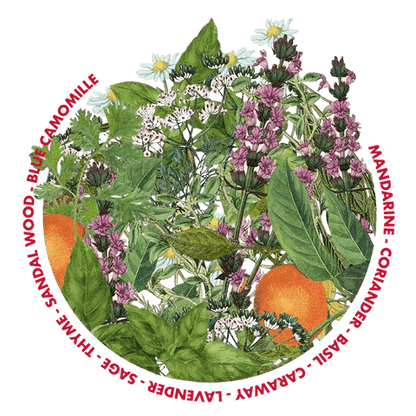 Tonstrina 17 - Pisterzi - 100 ml